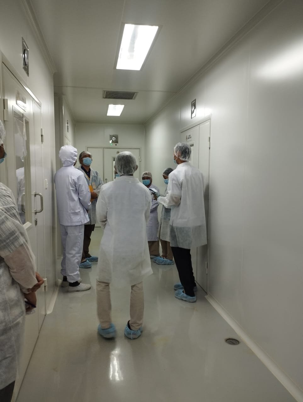 WhatsApp Image 2025-01-08 at 14.07.46_bb2322eb